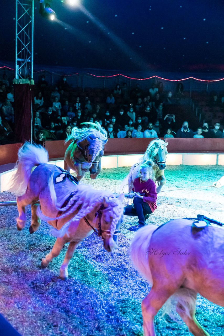 Bild 382 - Zirkus Europa